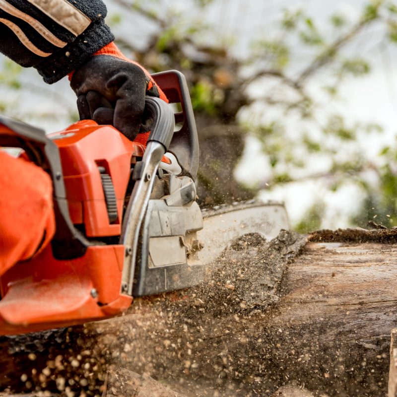 Forestry Equipment